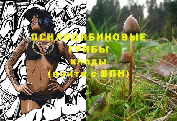 мет Белокуриха