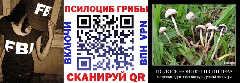 Галлюциногенные грибы мицелий  Чудово 